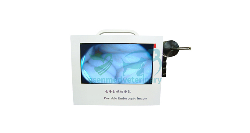 The Eyes of the Ear: Unlocking the Visual World of Veterinary Video Otoscopes
