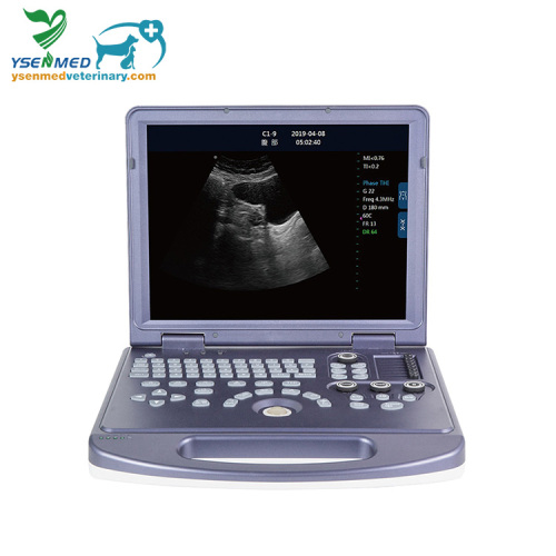 Laptop Veterinary Black and White Ultrasound YSB-MU15V