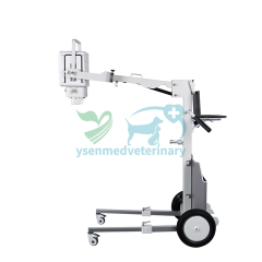 YSX100-PE Vet 10kw Veterinary Portable X-ray Machine
