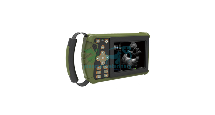Pocket-Sized Precision: The Role of Portable Ultrasound in Remote Medical Settings