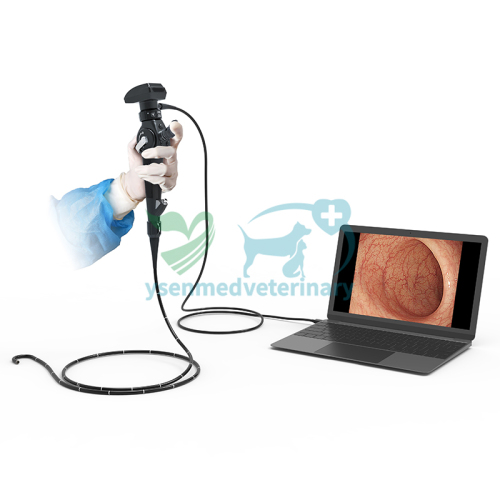 YSVET-EU150H Veterinary Endoscope