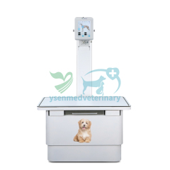 YSX100-PD 10kw Veterinary X-ray Machine