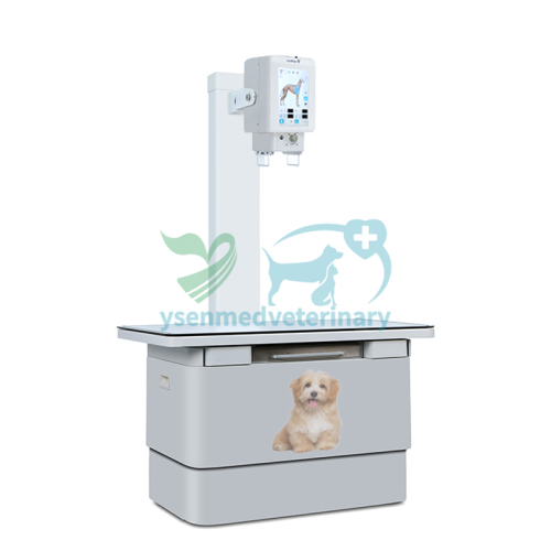YSX100-PB 10kw Veterinary X-ray Machine