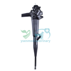 YSVET-GU160H Veterinary Endoscope