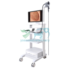 YSVET-GU160H Veterinary Endoscope