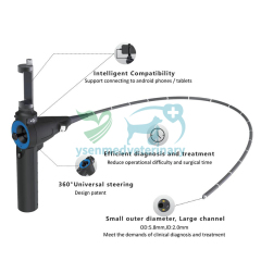 YSVET-VB105 Animal Endoscope