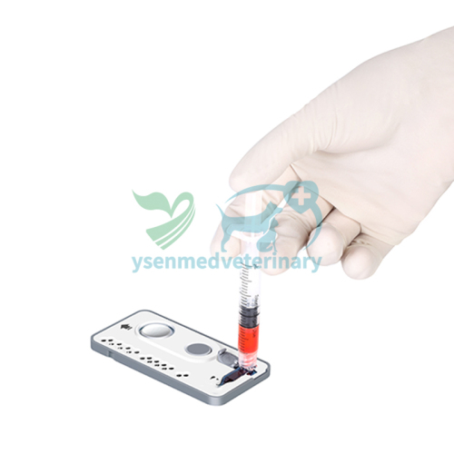 Veterinary Blood Gas Electrolyte Analyzer YSTE-BG100V