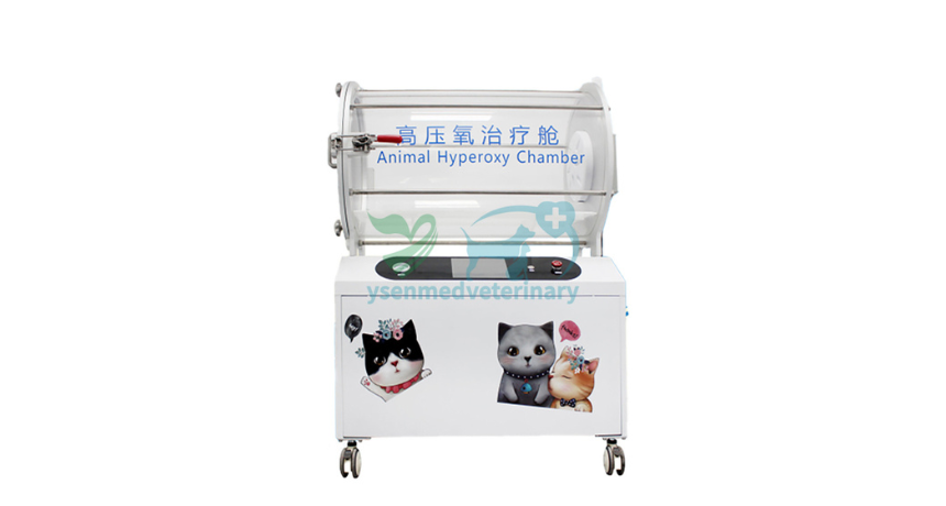 From Injury to Recovery: The Magic of Veterinary Hyperbaric Oxygen Chambers