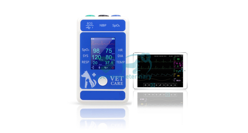 How Portable Vital Signs Monitors are Changing Vet Care