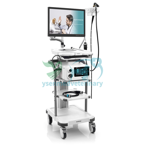 Sonoscape V-2000 Veterinary Endoscopy System