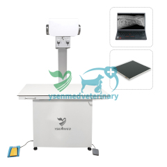 32kW Veterinary X-ray Machine YSDR-VET320 ECO (YSF32DRV-B2)