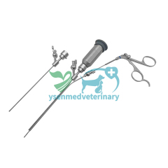 Endoscopio de lente blanda YSVET-EC65H para animales pequeños