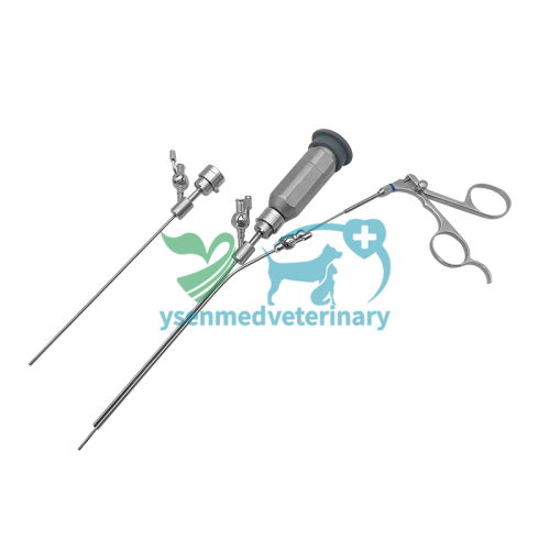 YSVET-EC19R Hard Lens Endoscope For Small Animals