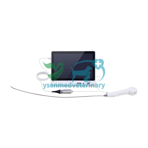 YSVET-EC19R Hard Lens Endoscope For Small Animals