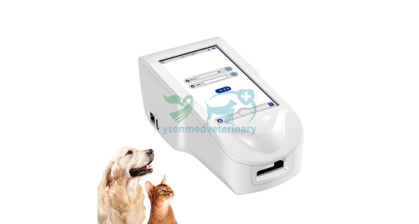 Quick Results, Big Impact: The Role of Handheld Analyzers in Vet Diagnostics