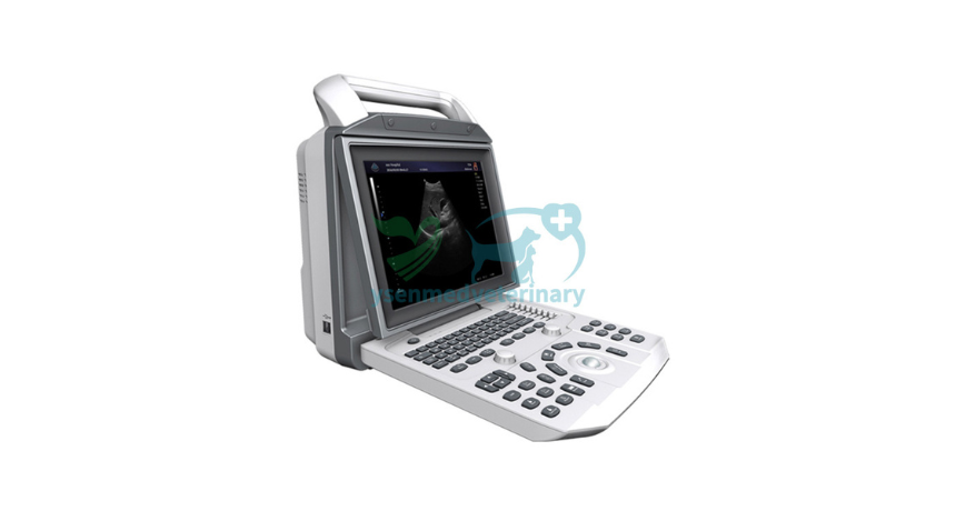 Portable, Practical, and Powerful: Why Vets Love B&W Ultrasound Machines
