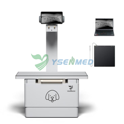 Digital X Ray Machine for Big Animals YSENMED YSDR-VET200
