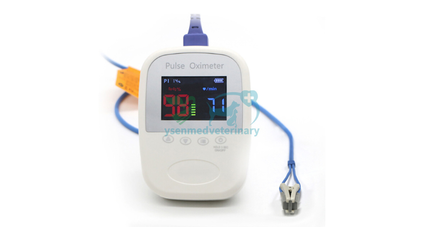 Is It Safe for Dogs to Use a Pulse Oximeter?