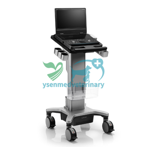 Portable Veterinary Color Ultrasound Diagnostic Device Propet X11