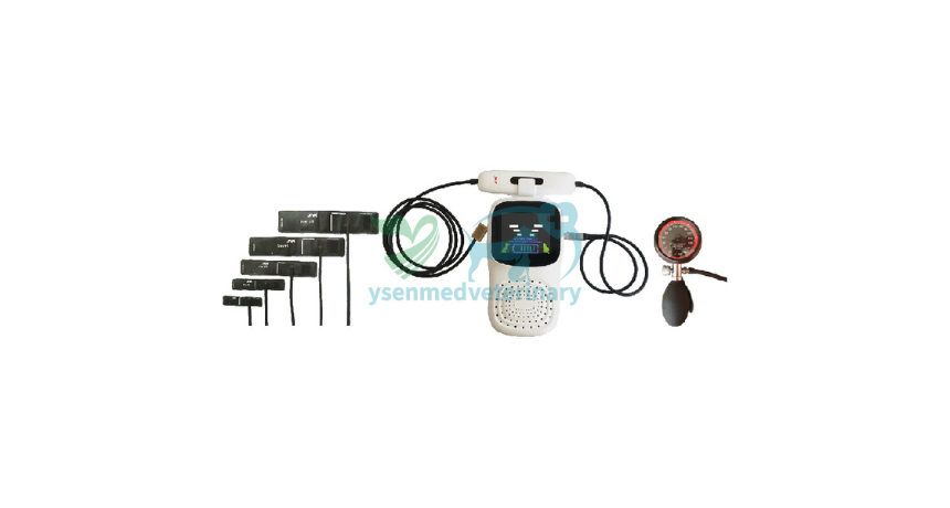 How Do Doctors Check a Dog's Blood Pressure with a Vet Blood Pressure Monitor?