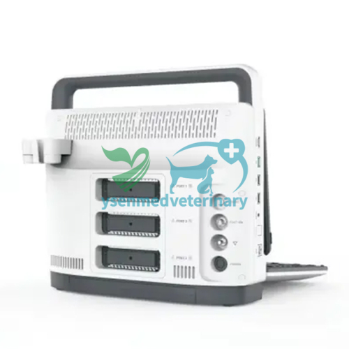 Sistema de ultrasonido Doppler color veterinario portátil 3D 4D YSB-M30 VET