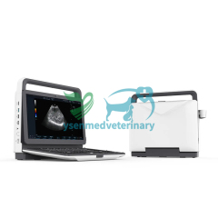 Sistema de ultrasonido Doppler color veterinario portátil 3D 4D YSB-M30 VET