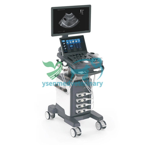 Unidad de rayos X veterinaria portátil, digital, compacta y ligera de 1,8 kW YSX018-B
