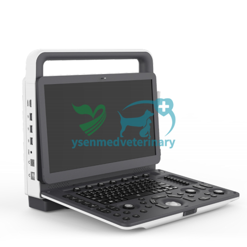 Sistema de ultrasonido Doppler color veterinario portátil 3D 4D YSB-M30 VET