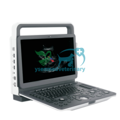 Sistema de ultrasonido Doppler color veterinario portátil 3D 4D YSB-M30 VET