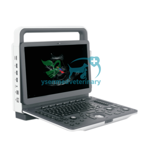 Sistema de ultrasonido Doppler color veterinario portátil 3D 4D YSB-M30 VET