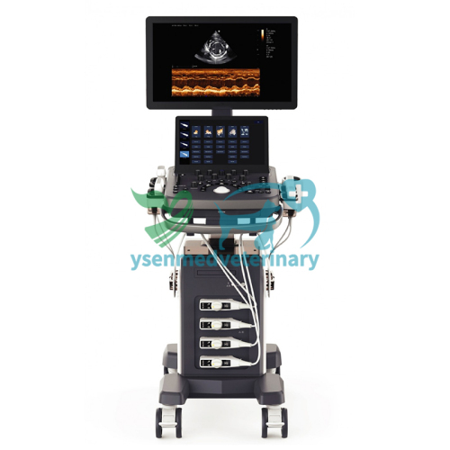 Veterinary Trolley Color Doppler Ultrasound System YSB-VIV20 VET