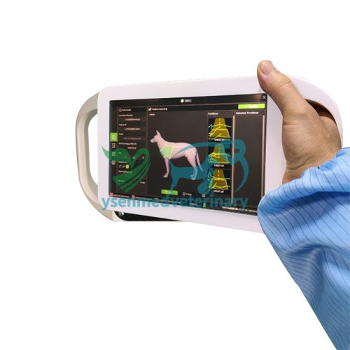 Unidad de rayos X portátil de mano veterinaria YSENMED 800W YSX-P800W Vet