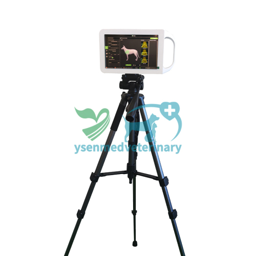 YSENMED 800W Veterinary Portable Handheld X-ray Unit YSX-P800W Vet