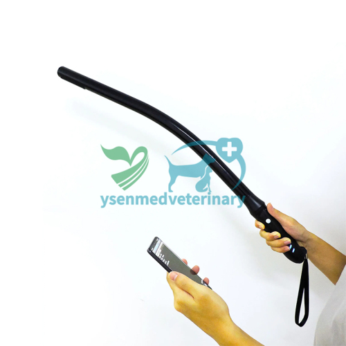 Sonda de ultrasonido rectal veterinaria inalámbrica para vacas y caballos YSB-C10EQ