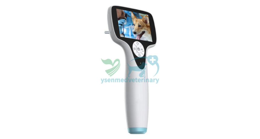 How to Sterilize a Veterinary Otoscope: A Comprehensive Guide