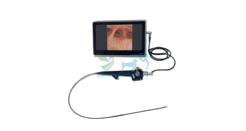 How to Clean a Veterinary Endoscope: A Comprehensive Guide