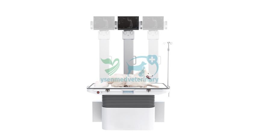 What is the Difference Between a Veterinary X-ray Machine and a Veterinary MRI Machine?