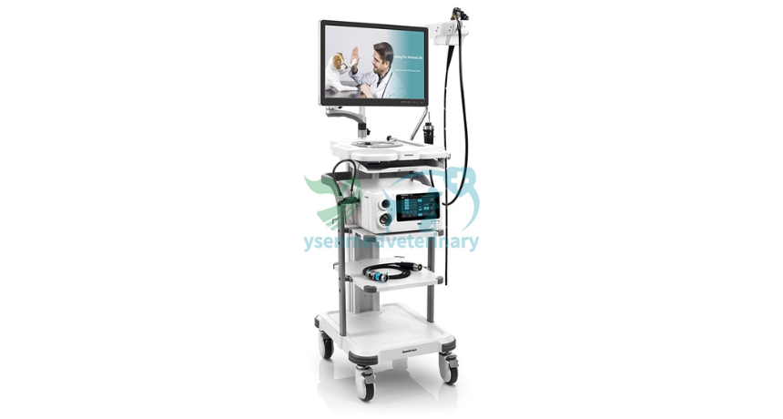 What is a Veterinary Video Endoscope?