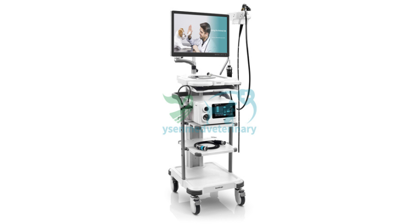 How to Prepare, Use, and Care for a Veterinary Endoscope