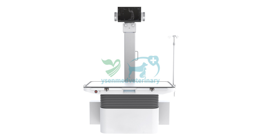 Why the 32kW Veterinary Digital Dynamic Radiography and Fluoroscopy X-ray System Feels Like a Superpower in Your Clinic