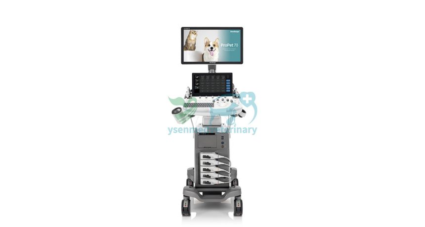 From B Mode to Triplex: Why This Color Doppler Ultrasound Feels Like a Swiss Army Knife for Vets?