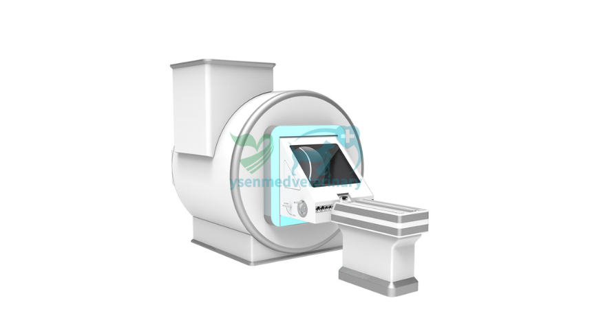 From Puppies to Big Dogs: How a V-Shaped Table Makes Animal MRI Feel Like a Cozy Cradle