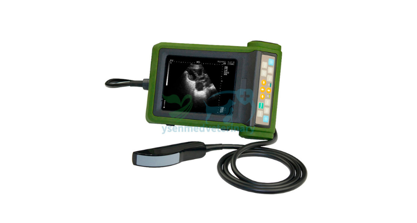 Light as a Stethoscope, Smart as a Scanner: Why the YSB-R10V Changes Portable Veterinary Ultrasound