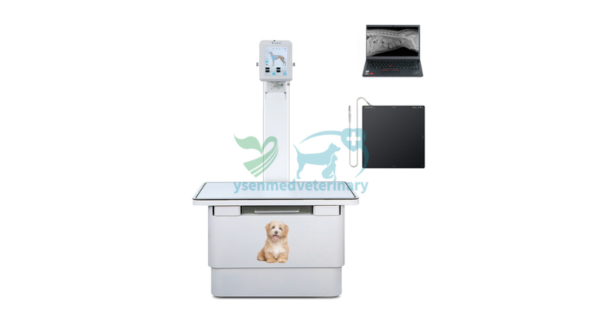 From 40kV to 125kV — Why the YSX056-PL 5.6kW Veterinary Digital X-ray Machine Delivers Power Without the Complexity