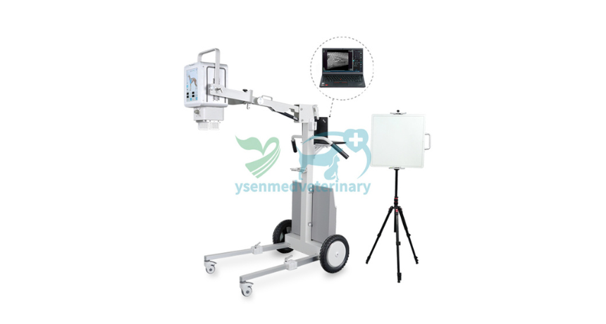 Lightweight, Mobile, and Smart: Can This 5.6kW Veterinary Digital Portable X-ray Machine Keep Up with Your Busy Practice?