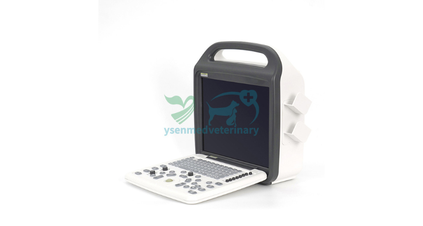 ¿Necesita ecografías rápidas para animales? Conozca el sistema portátil de ultrasonido Doppler veterinario YSB-DU10V.