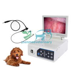 Combined Veterinary Video Endoscope System YSNJ-100VET-P