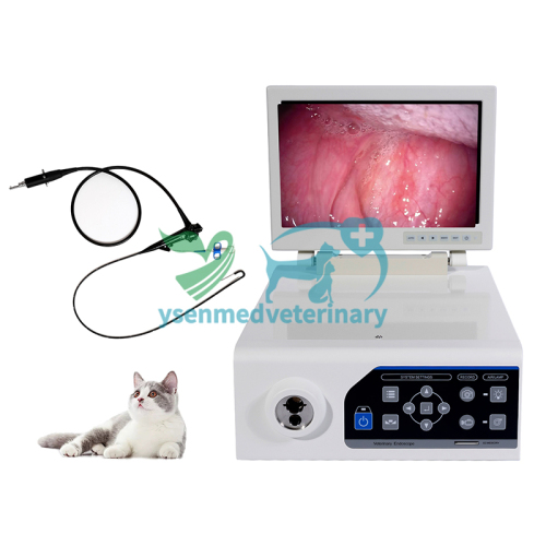 Sistema combinado de videoendoscopia veterinaria YSNJ-100VET-P
