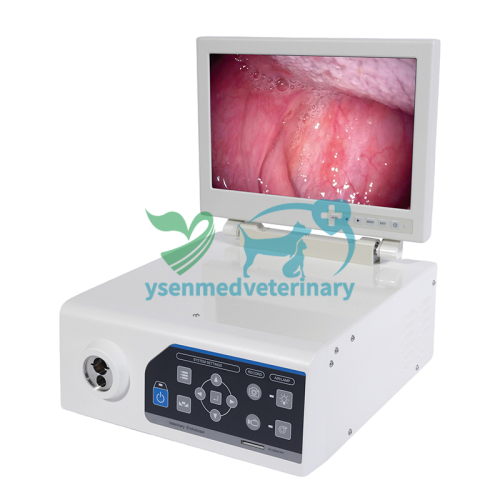Combined Veterinary Video Endoscope System YSNJ-100VET-P