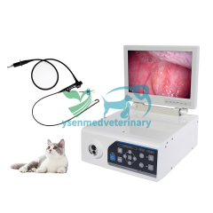 Combined Veterinary Video Endoscope System YSNJ-100VET-P